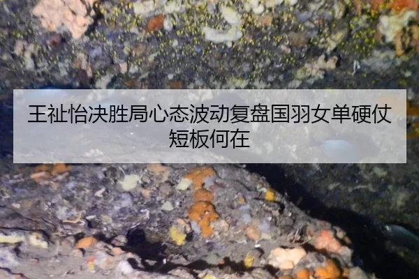 王祉怡决胜局心态波动复盘国羽女单硬仗短板何在